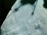 Пыль открывает и скрывает детали лунной поверхности